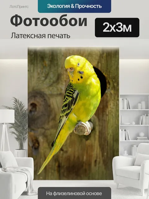 200 × 300 см · Латексная печать