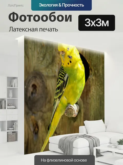 300 × 300 см · Латексная печать