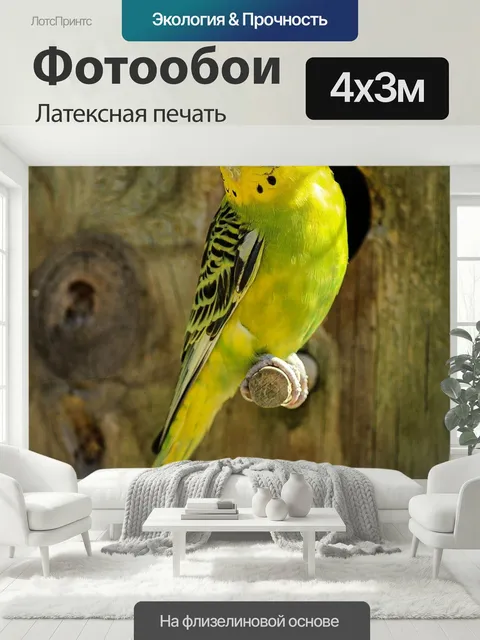 400 × 300 см · Латексная печать