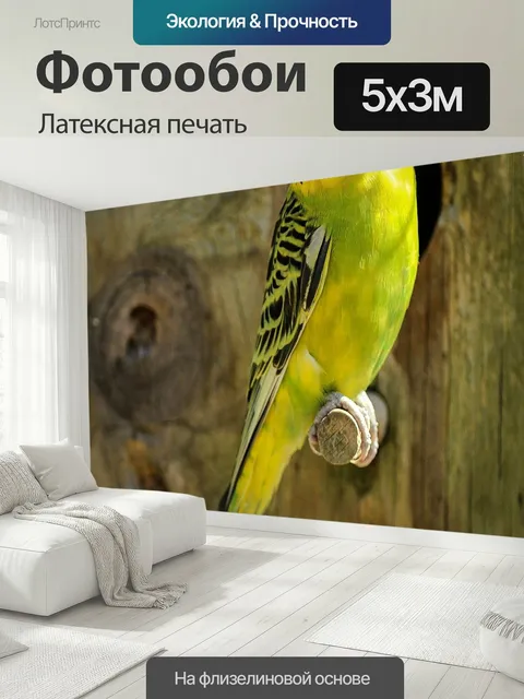 500 × 300 см · Латексная печать