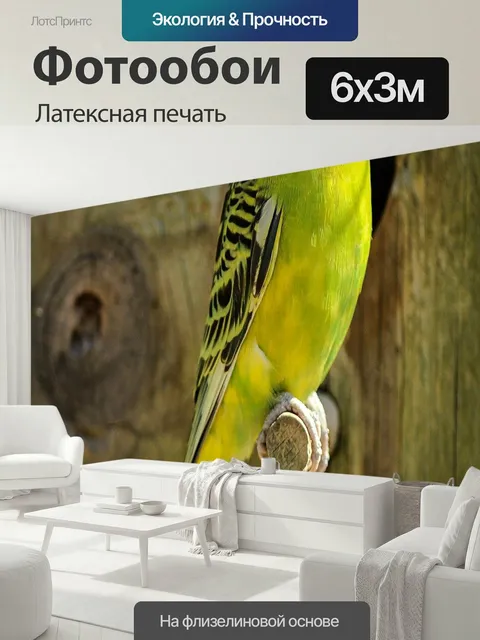 600 × 300 см · Латексная печать