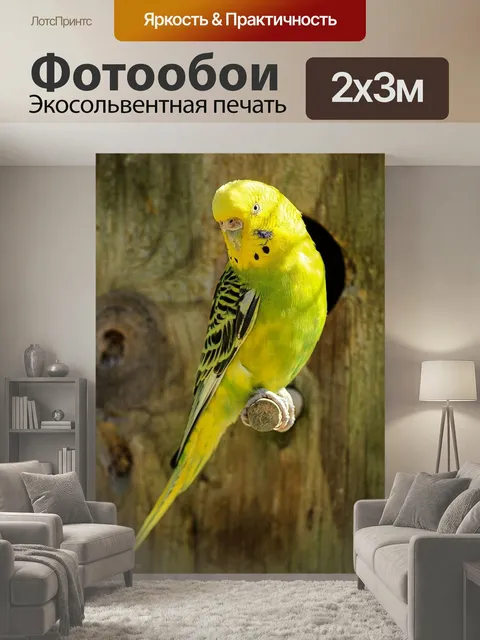 200 × 300 см · Экосольвентная печать