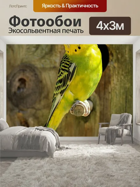 400 × 300 см · Экосольвентная печать