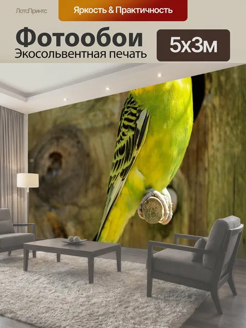 500 × 300 см · Экосольвентная печать