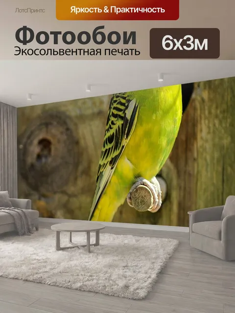 600 × 300 см · Экосольвентная печать