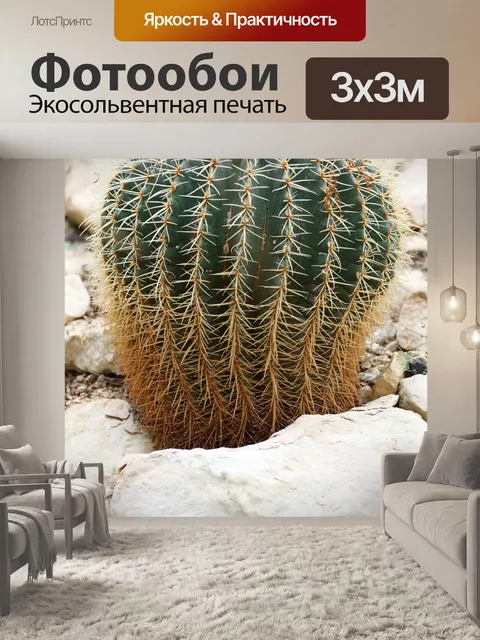 Фотообои Ботанический, ботаника, кактусы