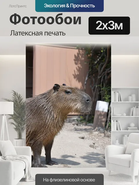 200 × 300 см · Латексная печать