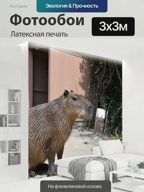 300 × 300 см · Латексная печать