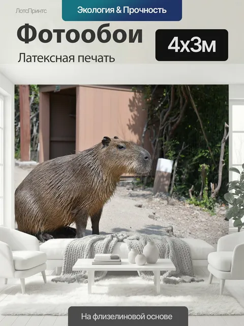 400 × 300 см · Латексная печать
