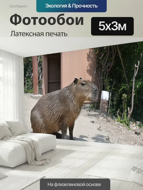 500 × 300 см · Латексная печать