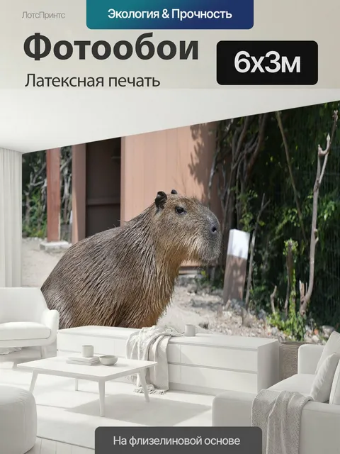 600 × 300 см · Латексная печать