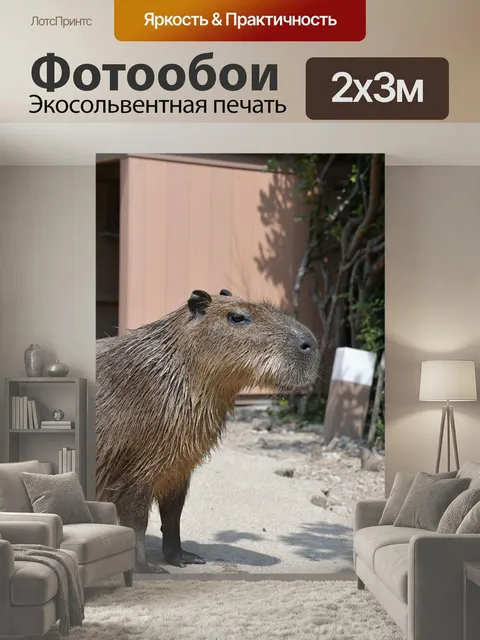 200 × 300 см · Экосольвентная печать