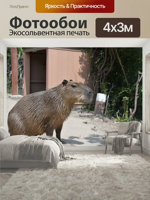 400 × 300 см · Экосольвентная печать
