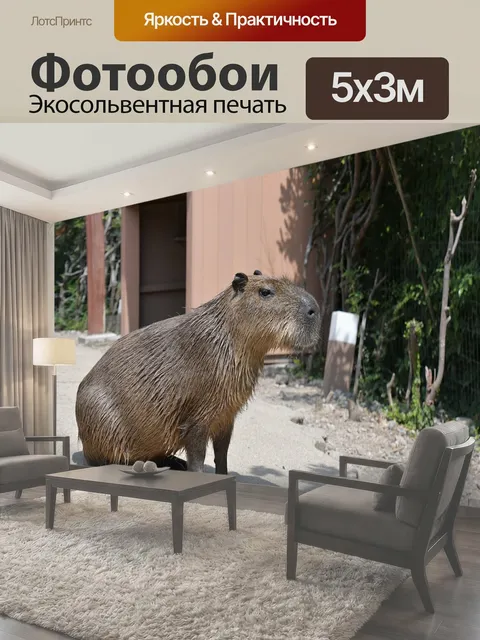 500 × 300 см · Экосольвентная печать