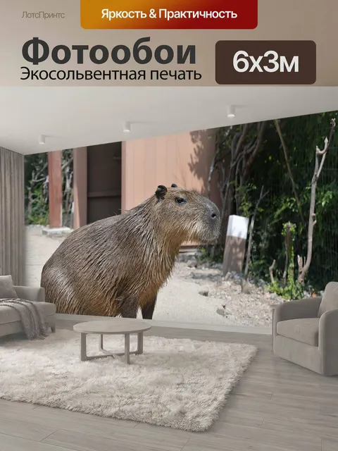 600 × 300 см · Экосольвентная печать