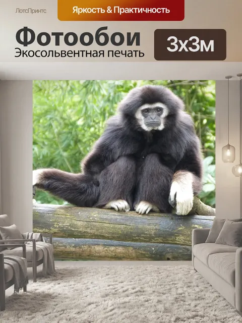 Фотообои Белые руки гиббон, обезьяны, животные