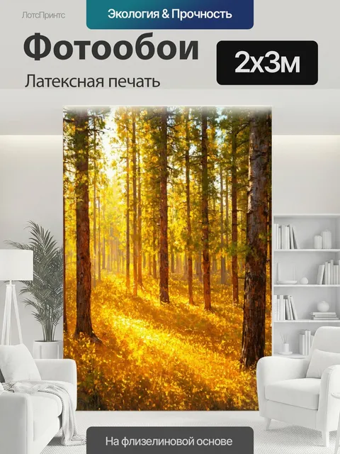 200 × 300 см · Латексная печать