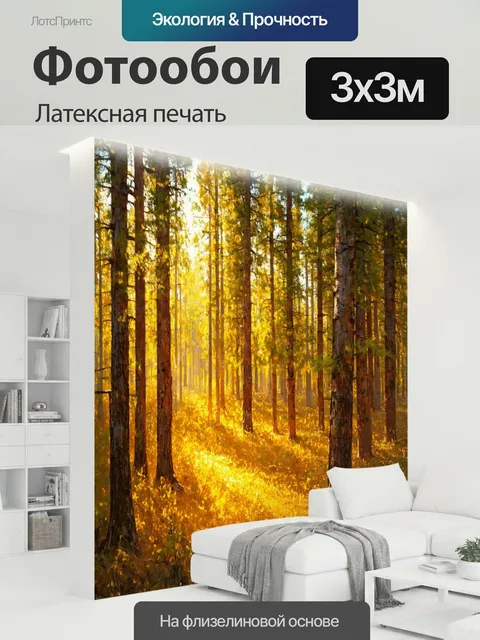 300 × 300 см · Латексная печать