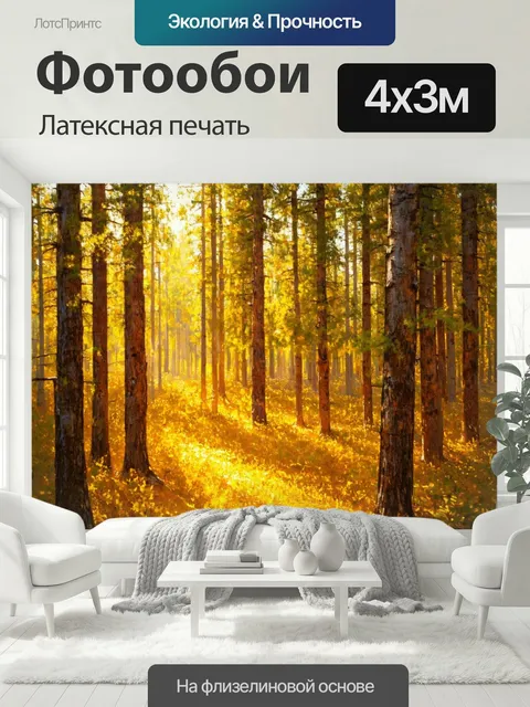 400 × 300 см · Латексная печать