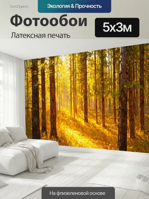 500 × 300 см · Латексная печать