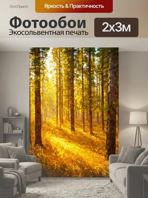 200 × 300 см · Экосольвентная печать