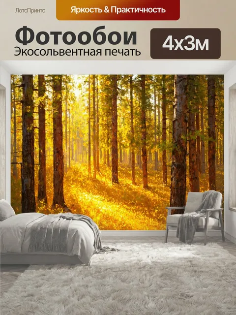400 × 300 см · Экосольвентная печать