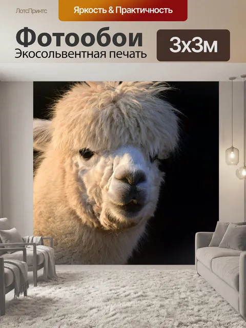 Фотообои Альпака, животное, белый