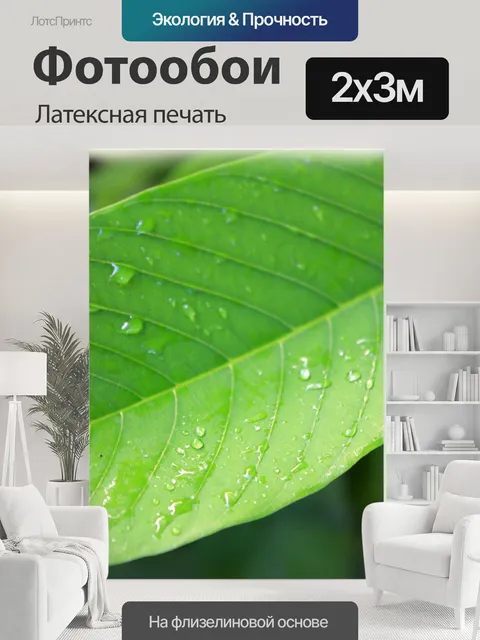 200 × 300 см · Латексная печать