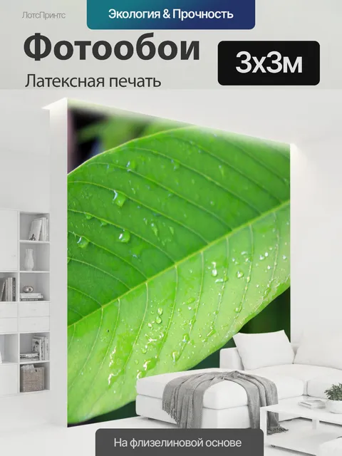 300 × 300 см · Латексная печать