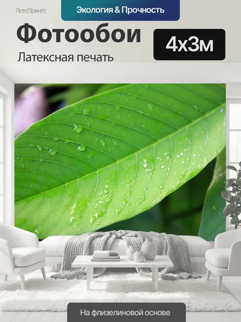 400 × 300 см · Латексная печать