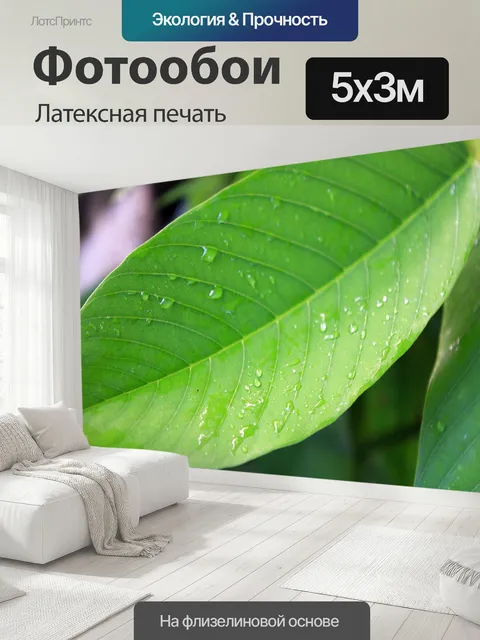 500 × 300 см · Латексная печать