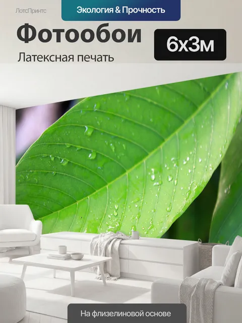 600 × 300 см · Латексная печать