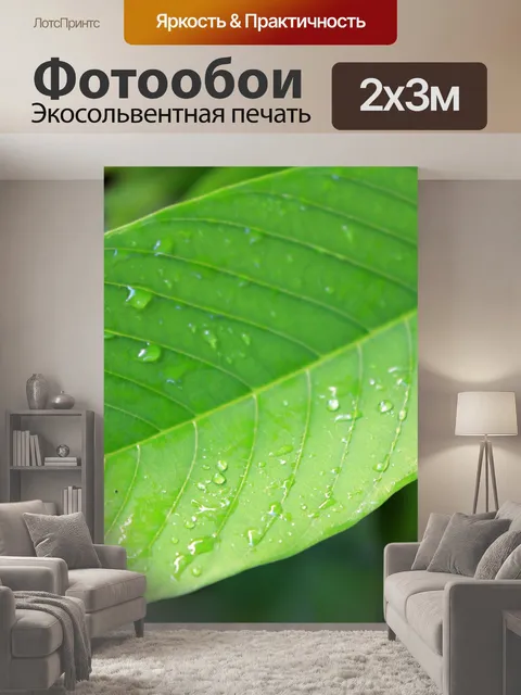 200 × 300 см · Экосольвентная печать
