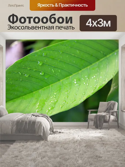 400 × 300 см · Экосольвентная печать