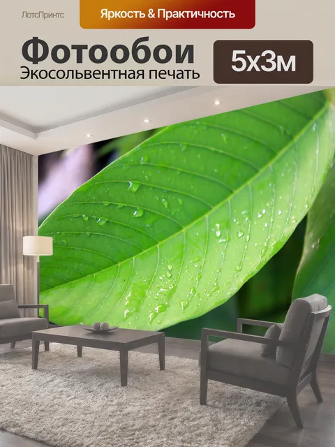 500 × 300 см · Экосольвентная печать