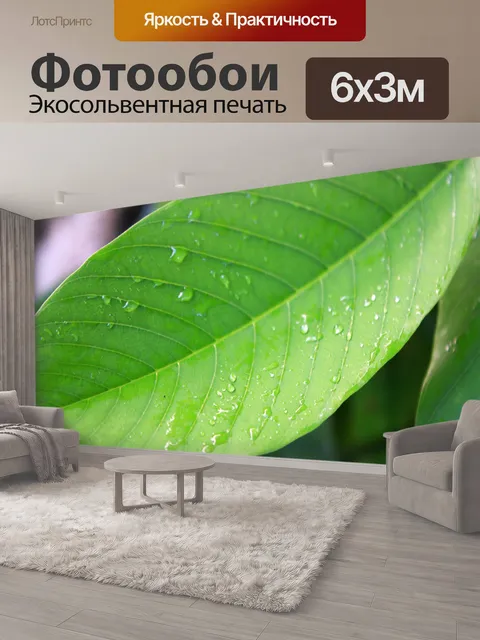 600 × 300 см · Экосольвентная печать