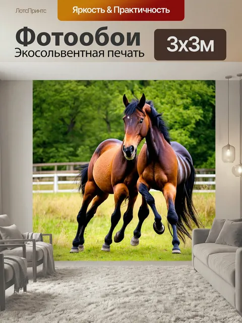 Фотообои Конь, играющий с другим конем, радостная встреча и моменты счастья