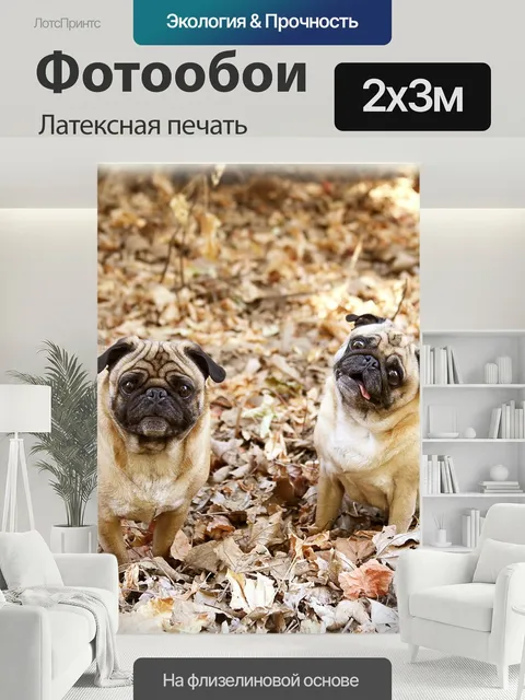 200 × 300 см · Латексная печать