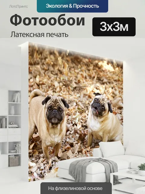 300 × 300 см · Латексная печать