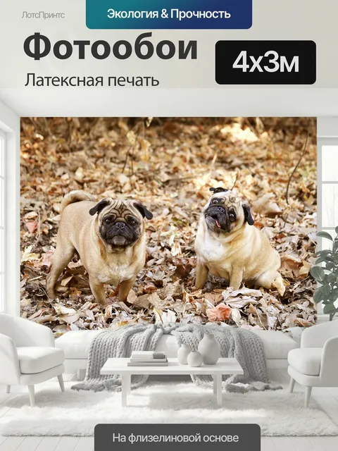 400 × 300 см · Латексная печать