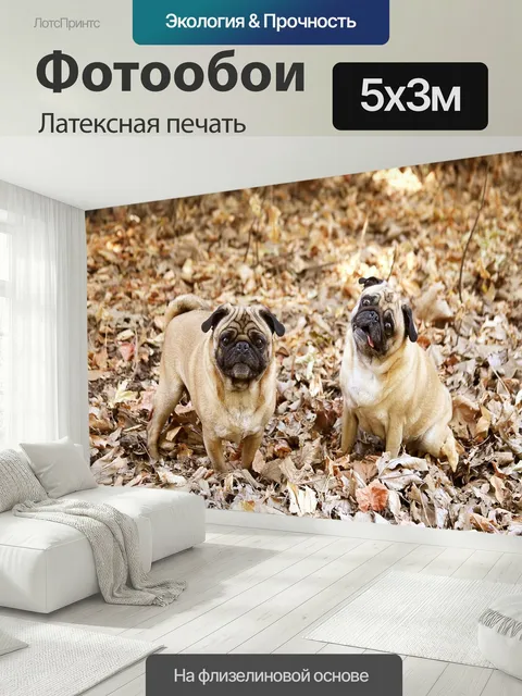 500 × 300 см · Латексная печать