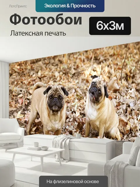 600 × 300 см · Латексная печать