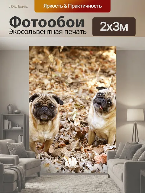 200 × 300 см · Экосольвентная печать