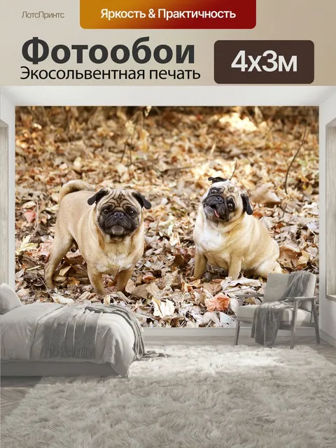 400 × 300 см · Экосольвентная печать