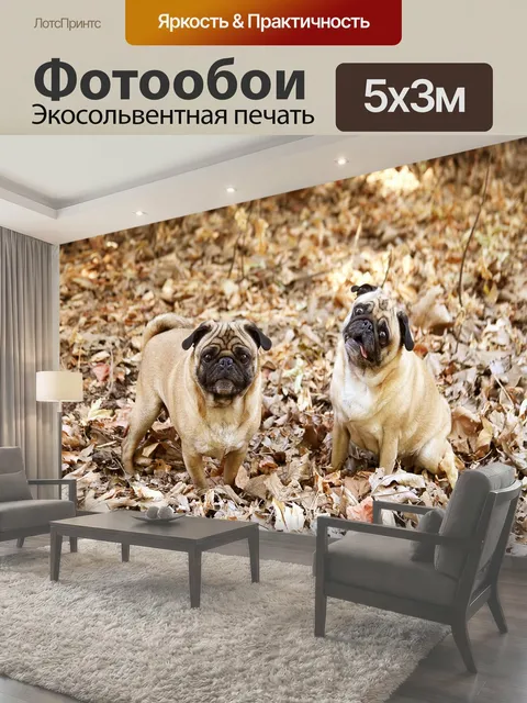 500 × 300 см · Экосольвентная печать