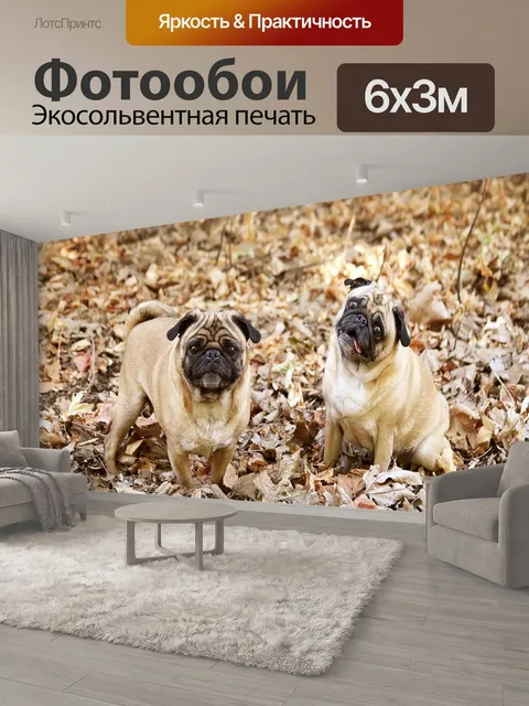 600 × 300 см · Экосольвентная печать