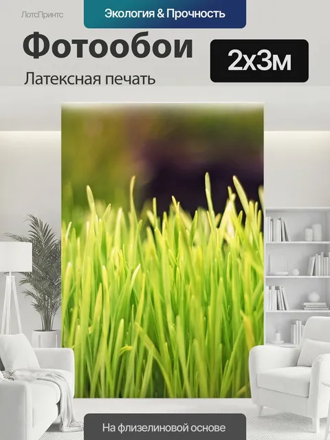 200 × 300 см · Латексная печать