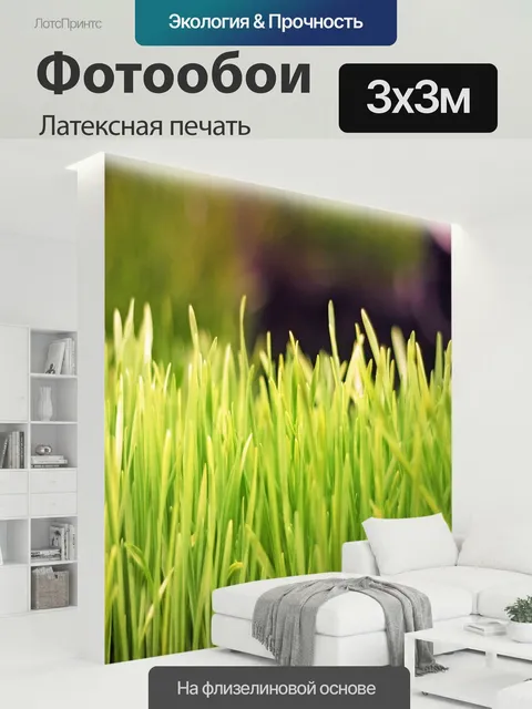 300 × 300 см · Латексная печать