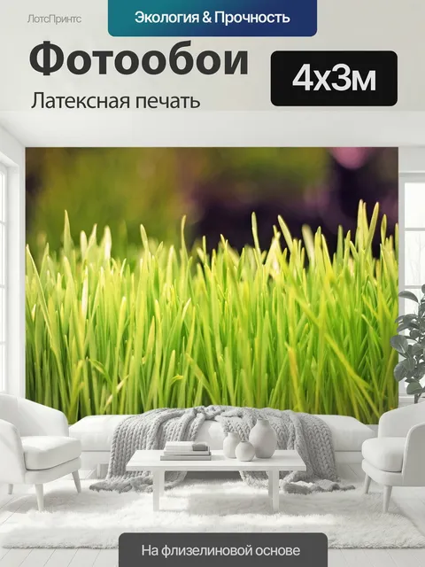 400 × 300 см · Латексная печать