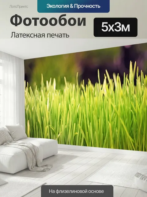 500 × 300 см · Латексная печать
